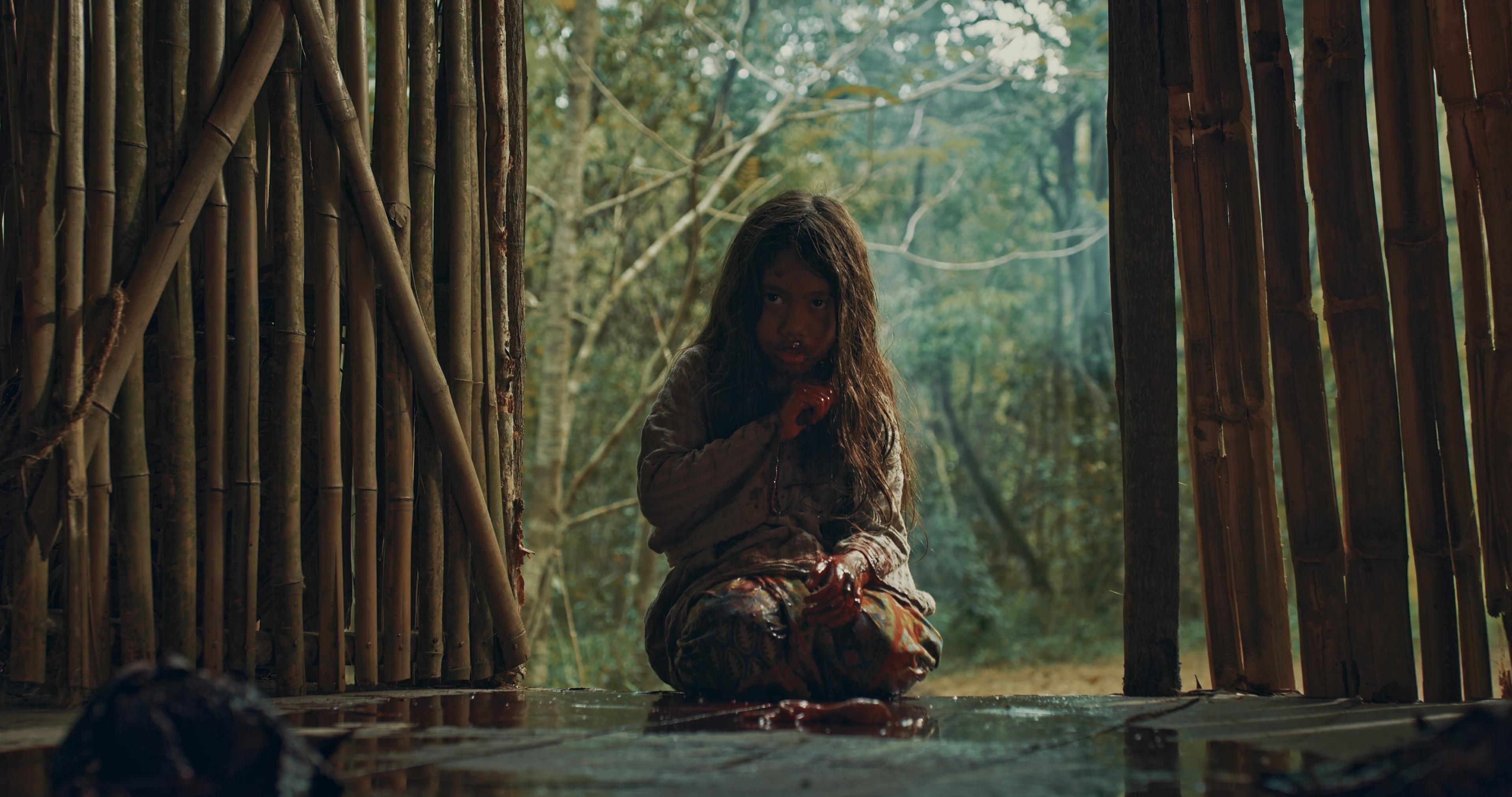 Putri Qaseh image
