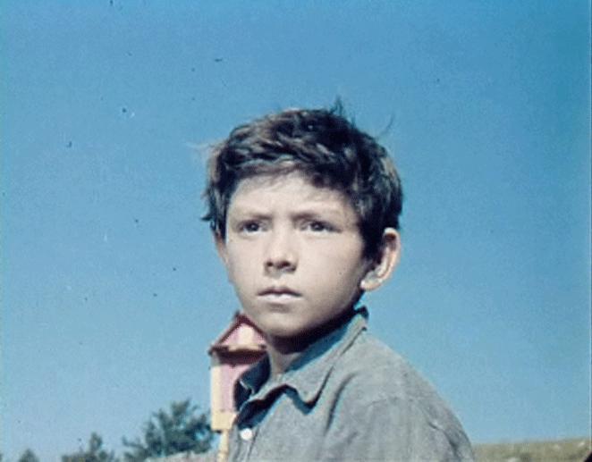 Rafik Sabirov image