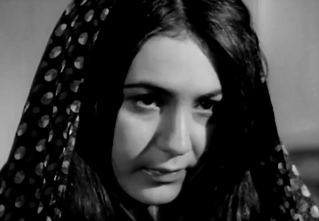 Negar image