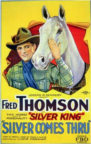 Silver King the Horse image