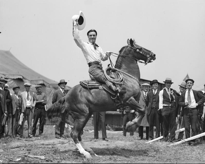 Tony the Horse image