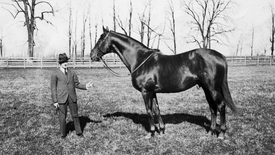 Man o' War image