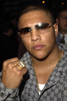Fernando Vargas image
