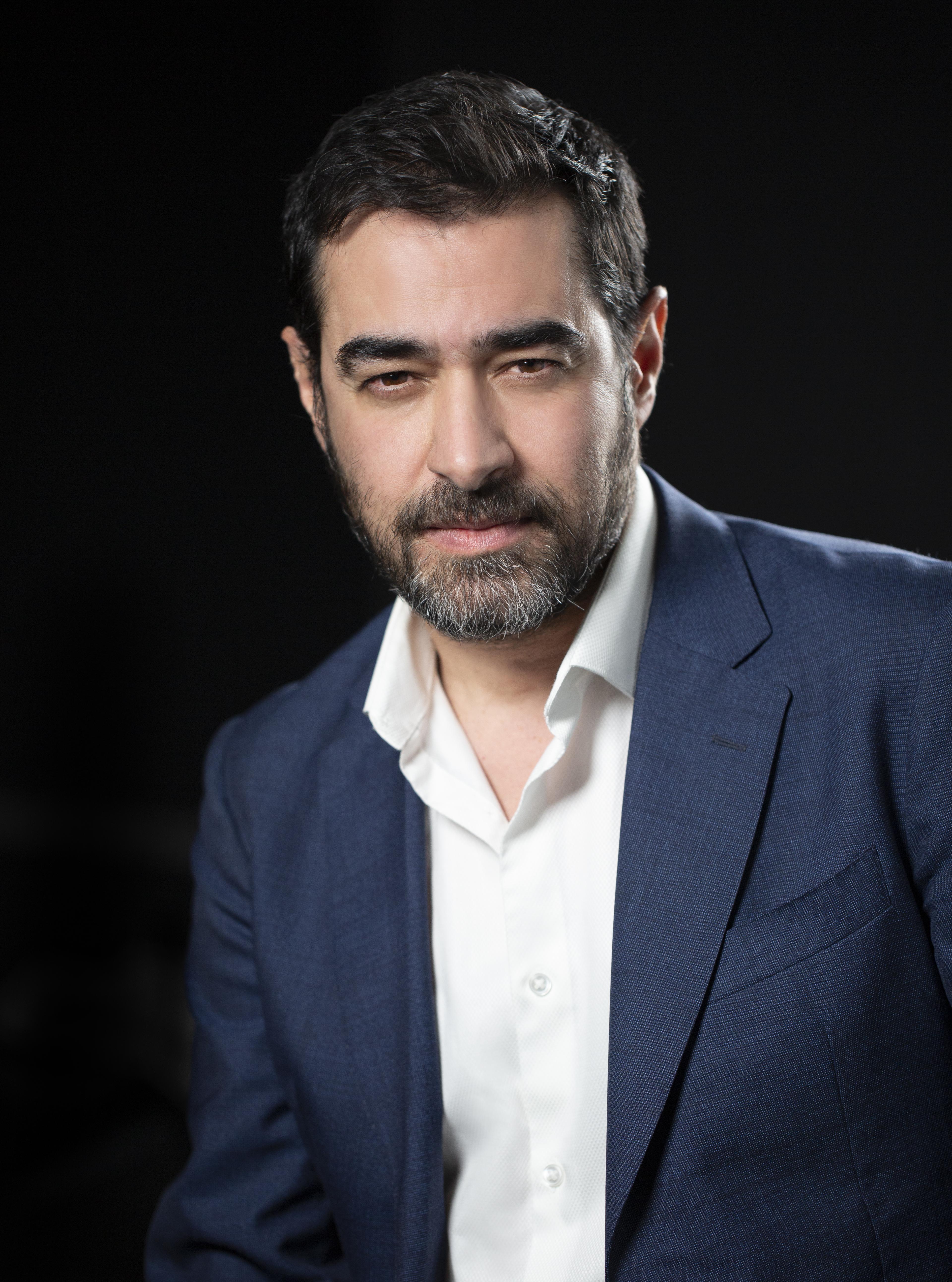 Shahab Hosseini image