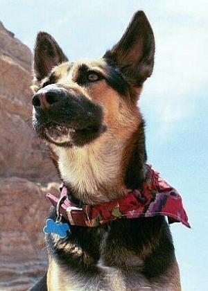 Sadie image