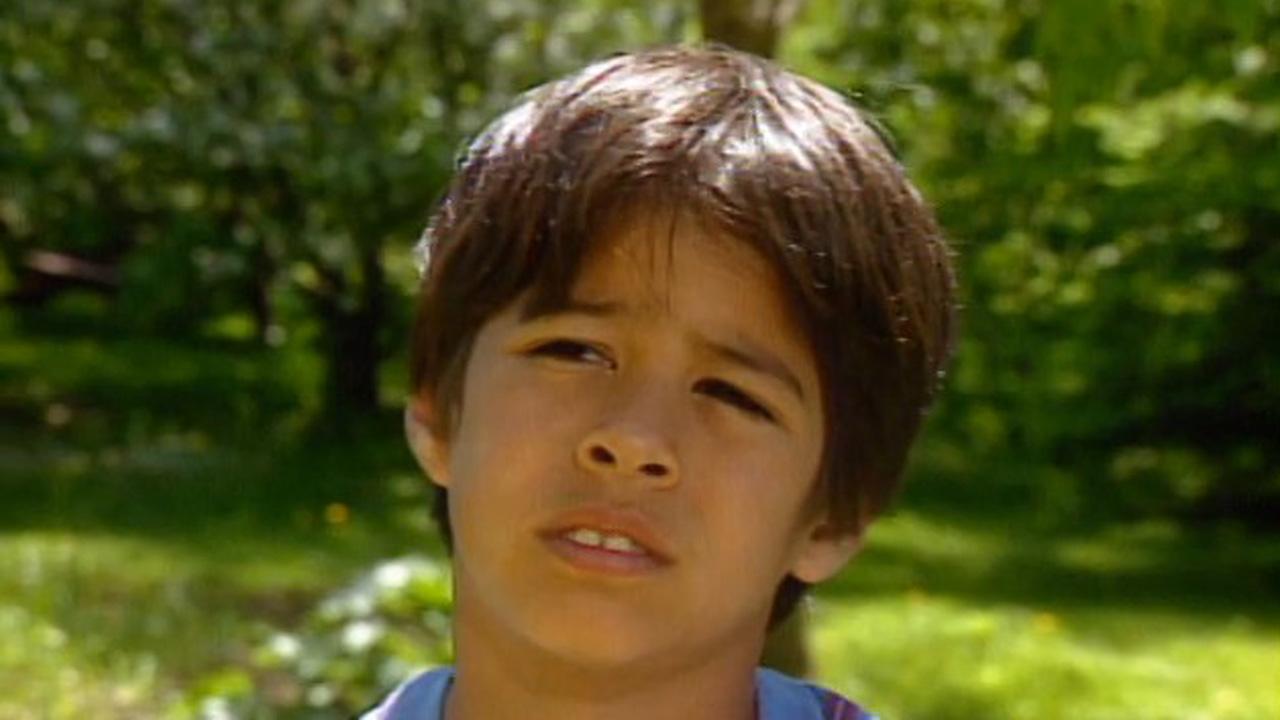Luis Brascoupe image