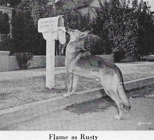 Flame image