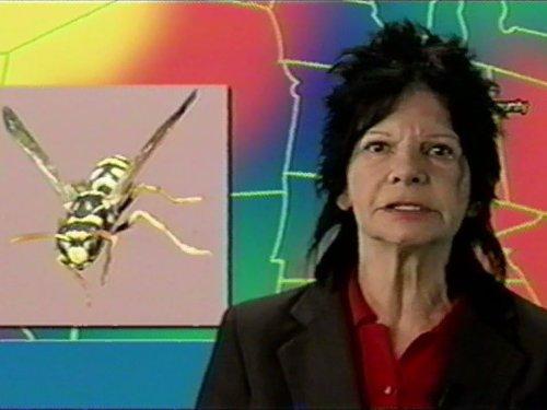 Carol Kraft image
