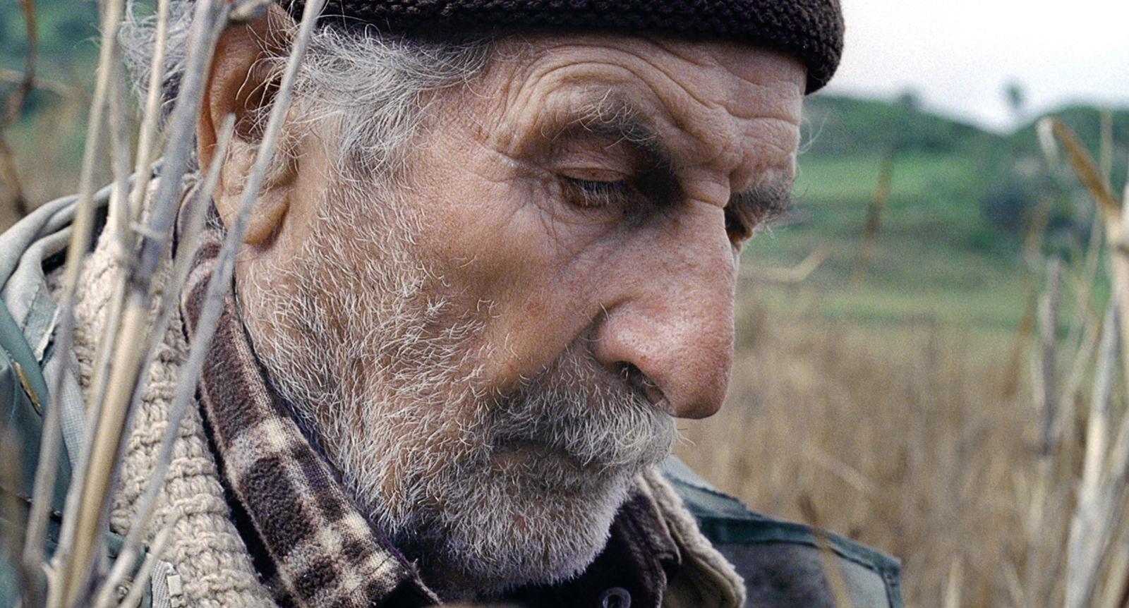 Giuseppe Fuda image