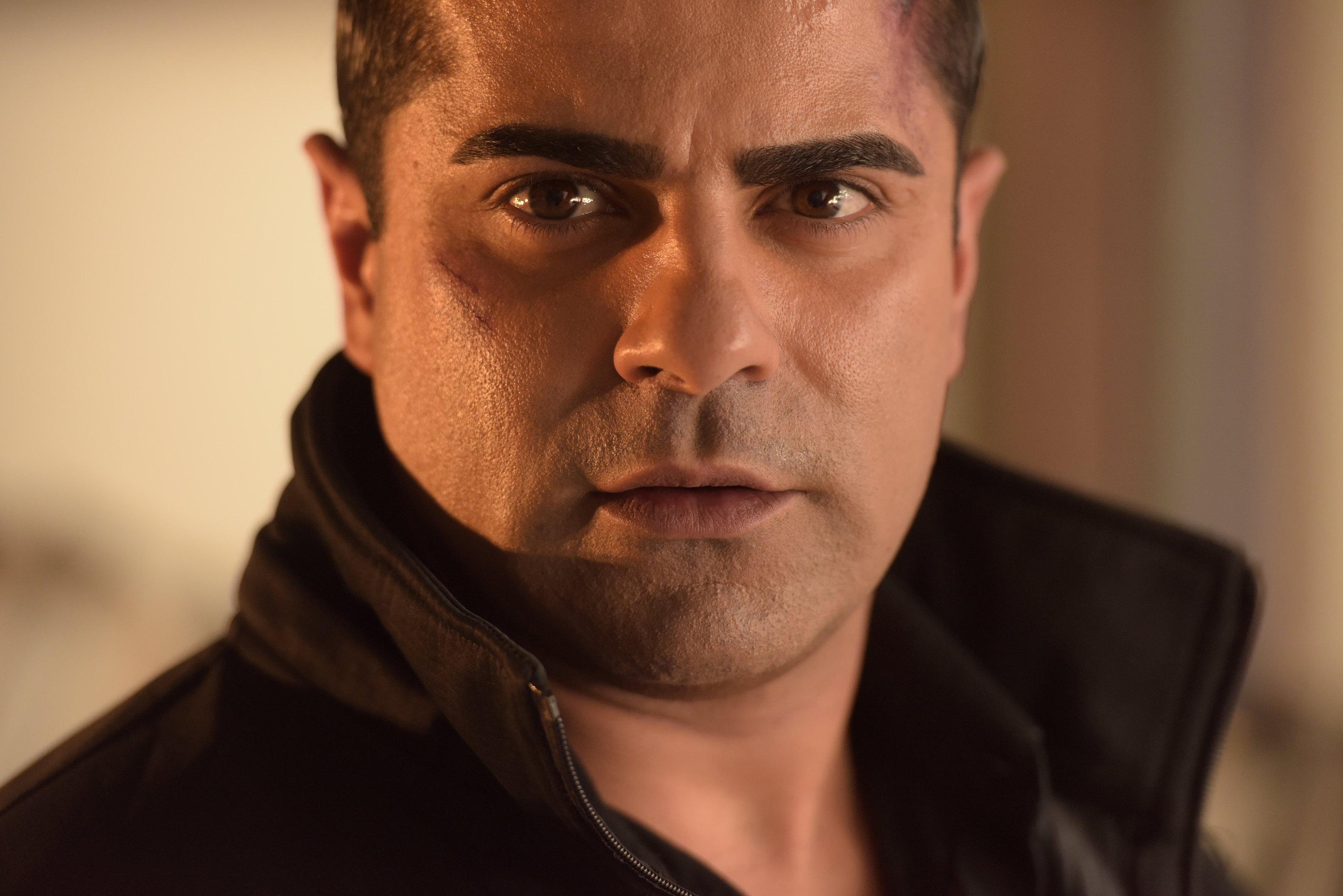Ramin Sohrab image