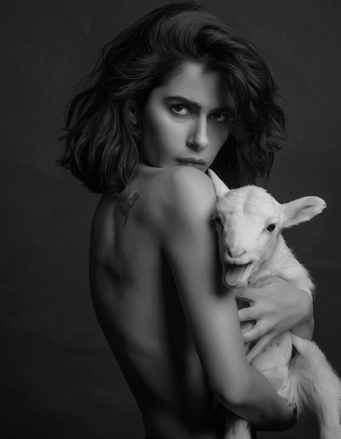 Nesrin Cavadzade image