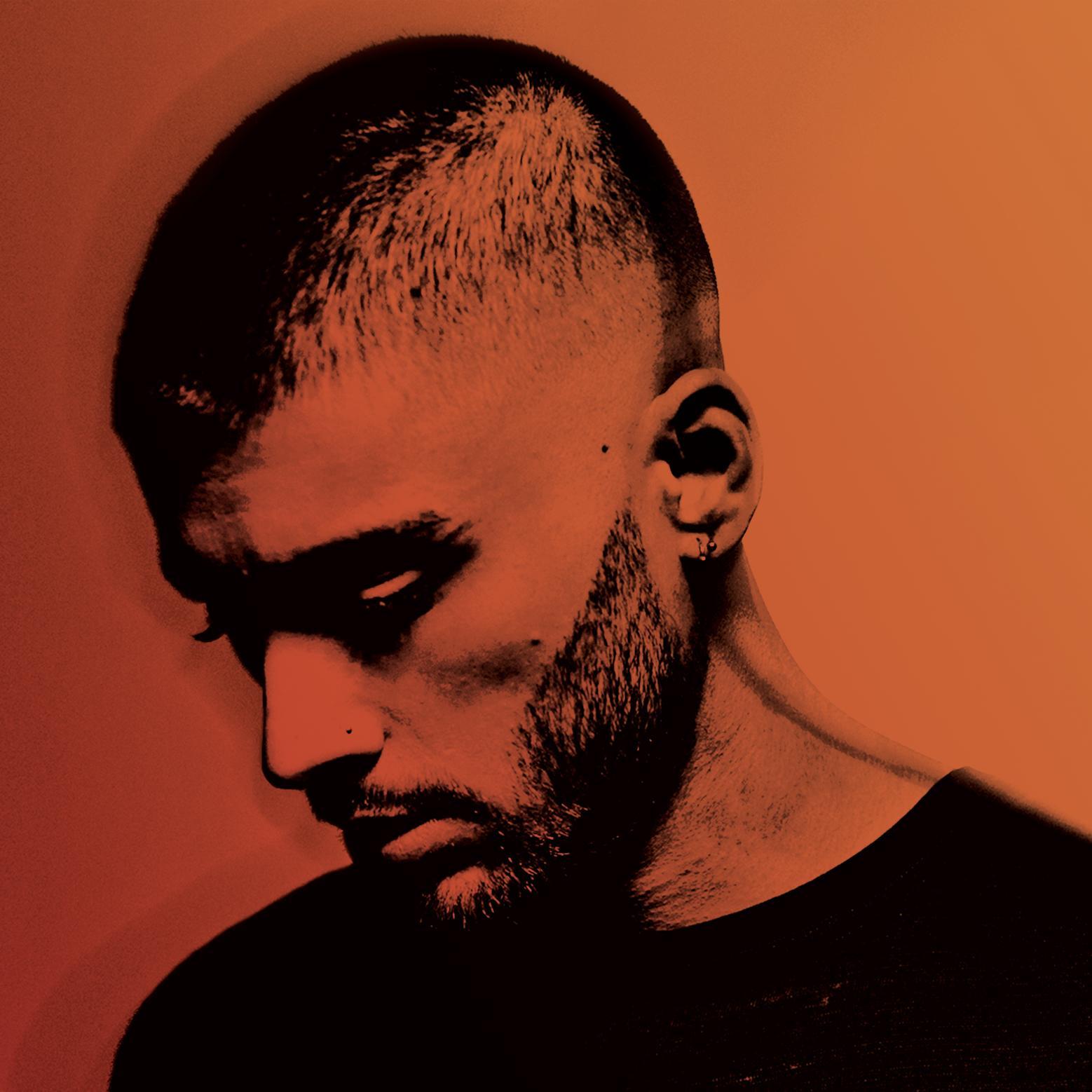 Zayn Malik image