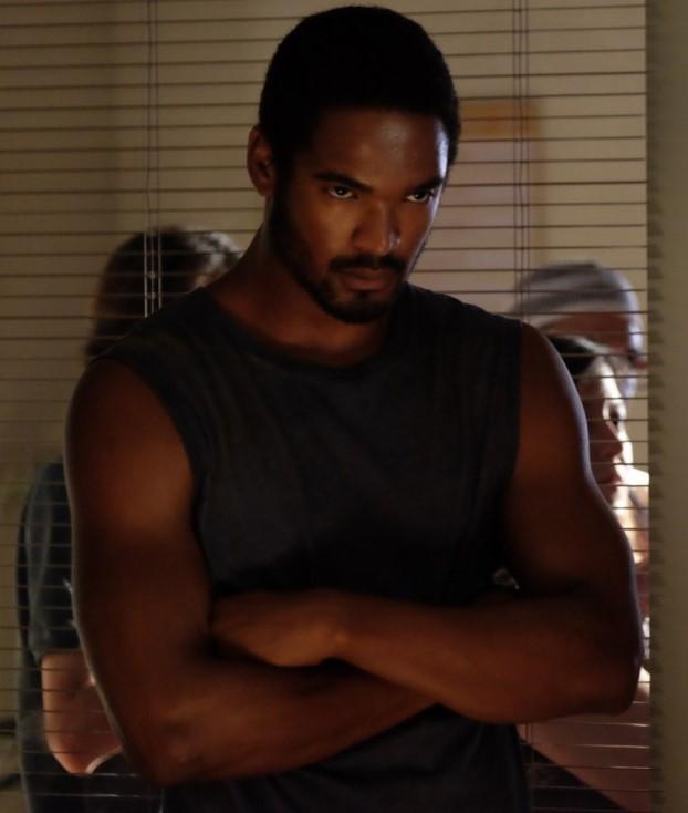 Will Shephard image