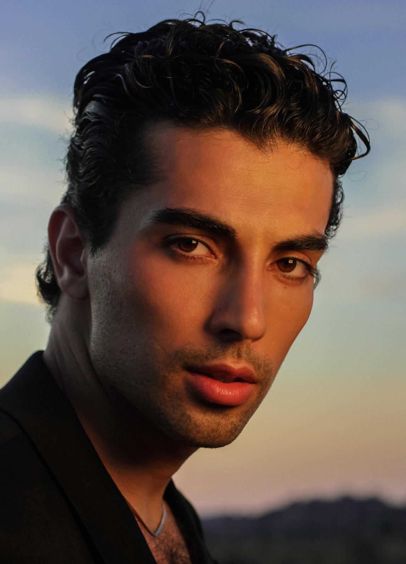 Shervin Alenabi image