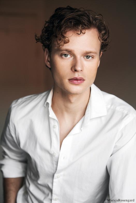 Edvin Endre image