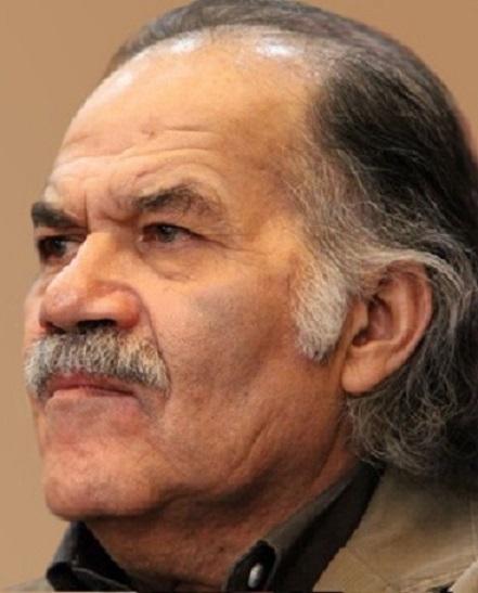 Sirous Ebrahim Zadeh image