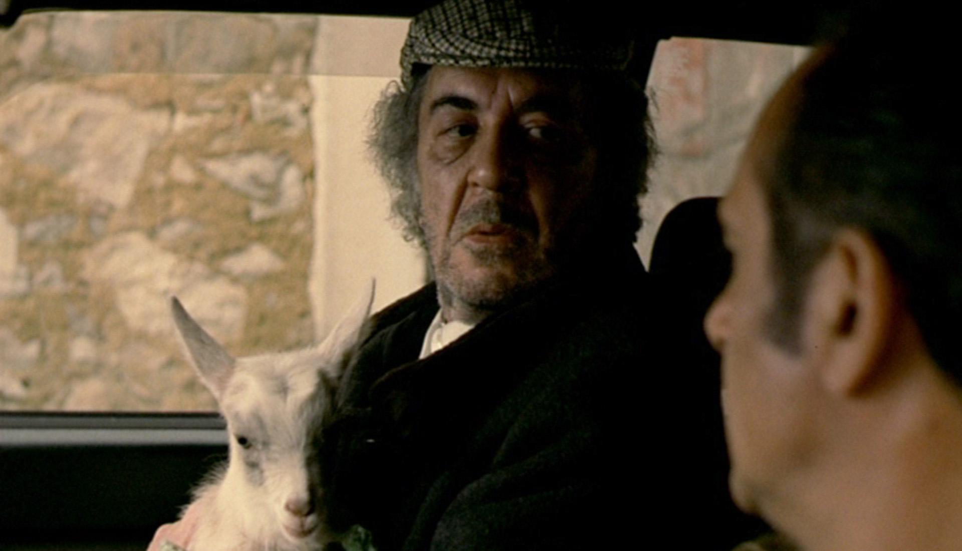 Fernando Taborda image