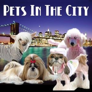 Pets In The City - New York City Pets & Animals - Pets & Animals on Pet Life Radio (PetLifeRadio.com) image