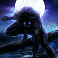 Andreas profile photo