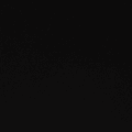 Ariana profile photo