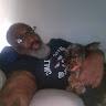 des profile photo