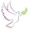 Dove profile photo