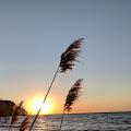 sunshineoceanbreeze profile photo