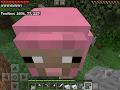 Minecraft and profile photo