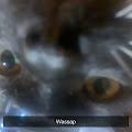 Emjsky profile photo