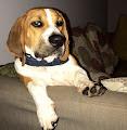vincent_cnds profile photo