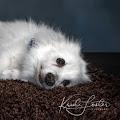 Teri profile photo