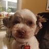 jelly profile photo