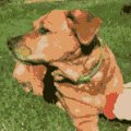 Hudson profile photo