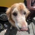 Bella profile photo