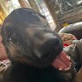 Alex profile photo