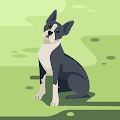 Aavah profile photo