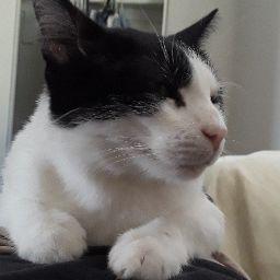 Nine profile photo