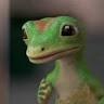 Terry profile photo
