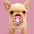 Ruchi profile photo