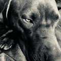 Eden profile photo