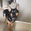 Abby profile photo