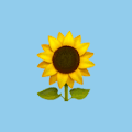Jaime profile photo