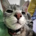 Payton profile photo