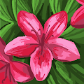 Tyla profile photo