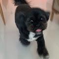 Amelia profile photo