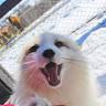 Kirane profile photo