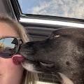 Morgan profile photo
