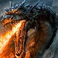 Dany profile photo