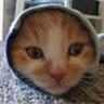 MLT profile photo