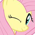 Chi profile photo